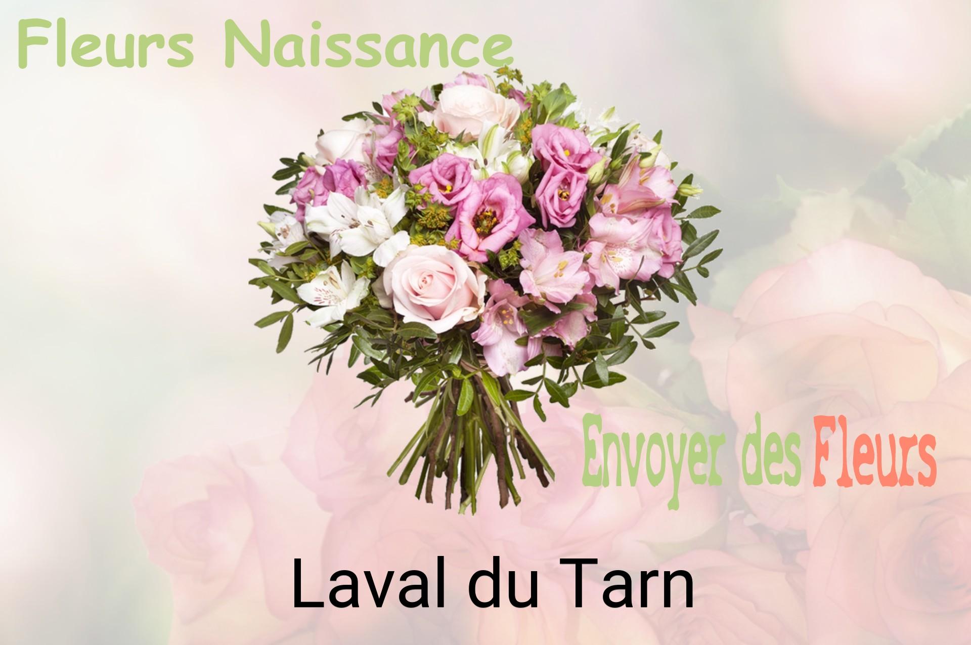 Bouquet de fleurs de naissance livré à Laval-du-Tarn